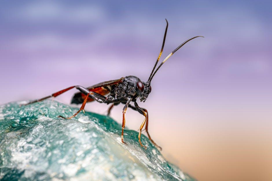 Expert Opinions and Audience Reactions: Why⁣ Parasite​ Resonates Globally