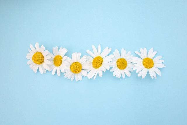 Crafting a Compelling⁤ Performance