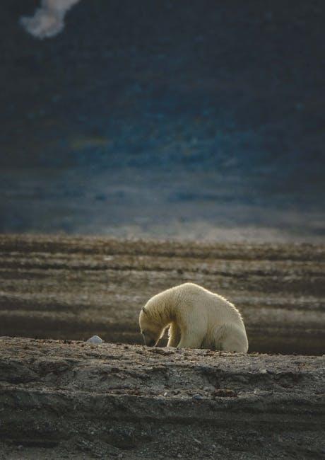 Emotional Landscapes: How Nature Reflects Inner Turmoil