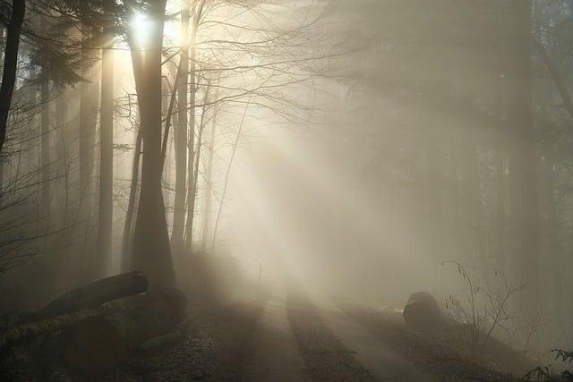 The Role of Practical Effects: Balancing Tradition with Technology